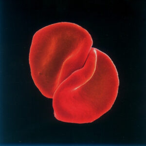 Peter Gabriel - Scratch my back