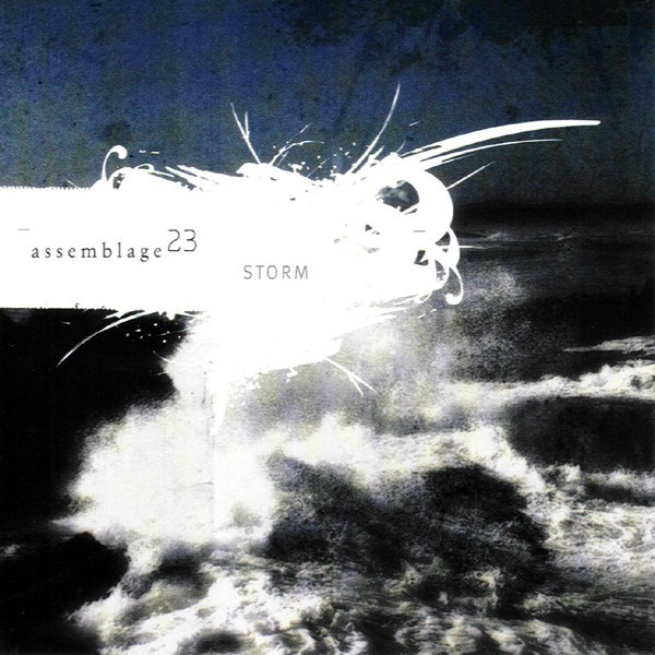 Assemblage 23-Storm