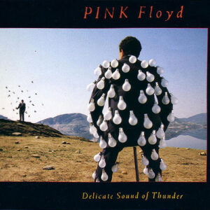 Pink Floyd - Delicate Sound of Thunder (2CD)